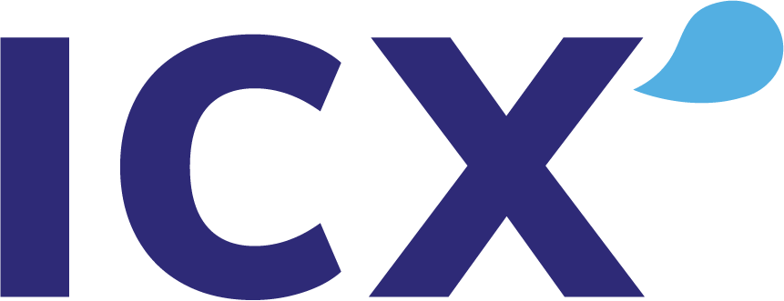ICX Consulting | Imagineer Customer Experience Logo